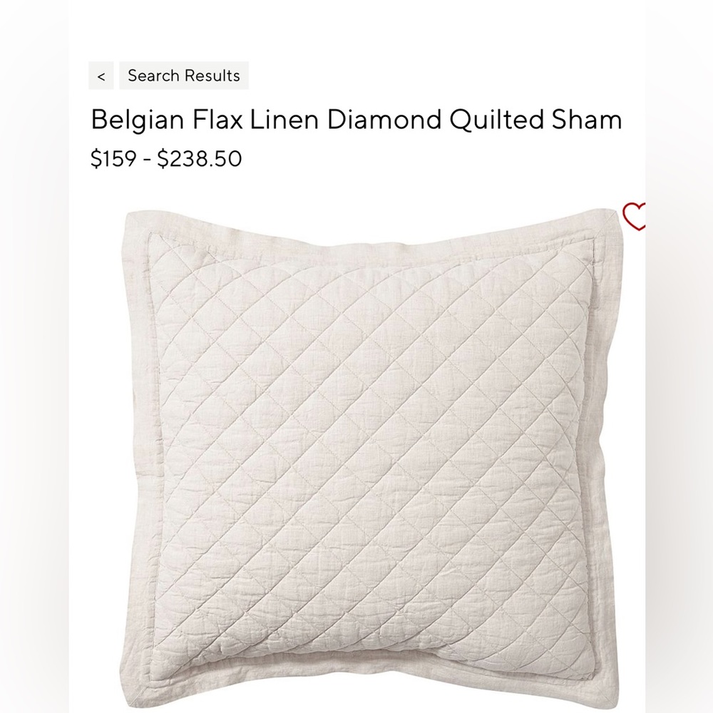 Pottery Barn Euro Shams in Flax